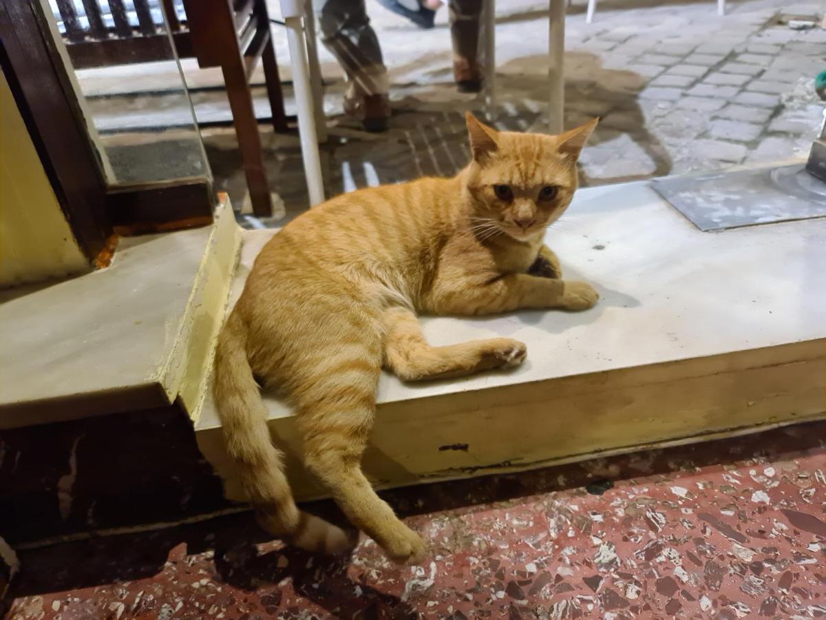 Nikolas Rooms Chania  Екстер'єр фото
